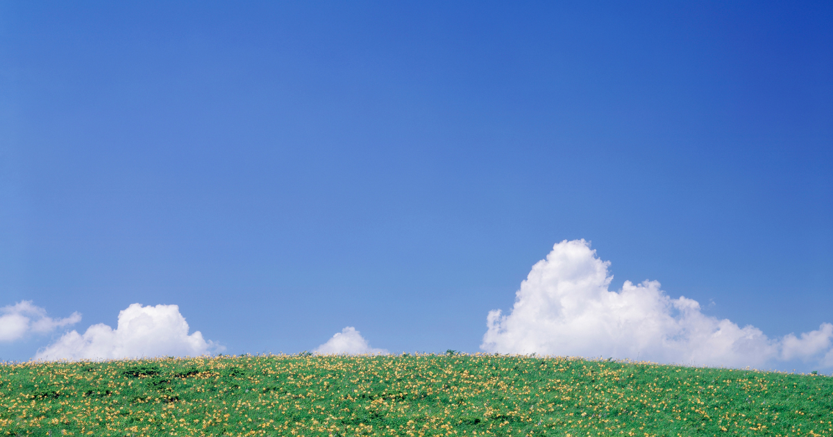 Beautiful garden representing organic content growth