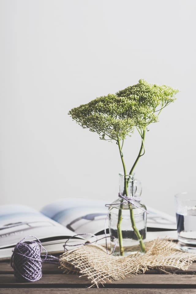 A leafy branch in a glass vase on white