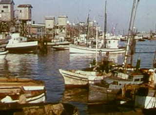 Fishing boats moored in a sunny harbour