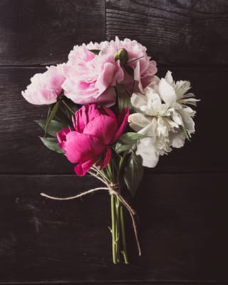 A bunch of pink and white peonies tied with string